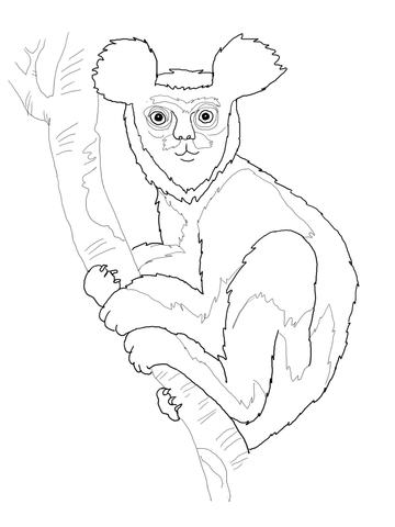 Indri Lemur Coloring Page